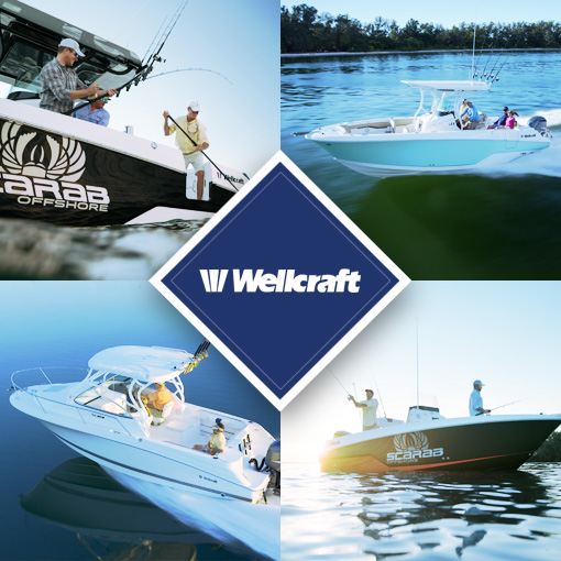 Bateaux WELLCRAFT